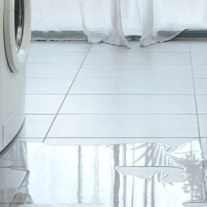 Appliance Leak Cleanup in Pearisburg, VA