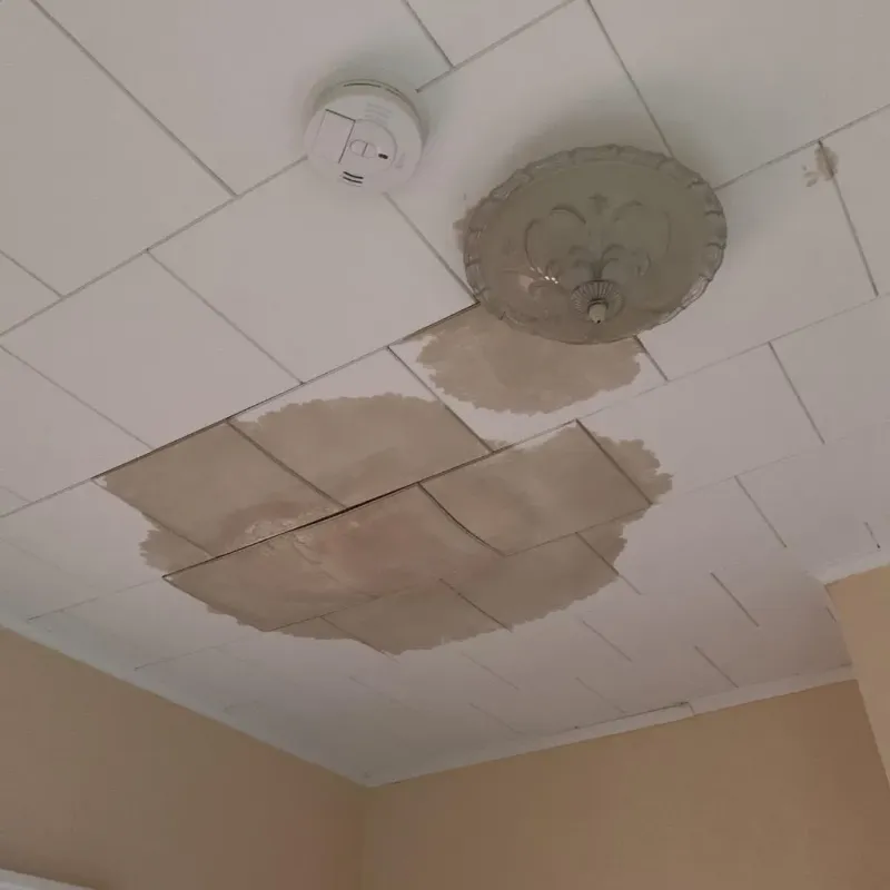 Ceiling Water Damage Repair in Pearisburg, VA