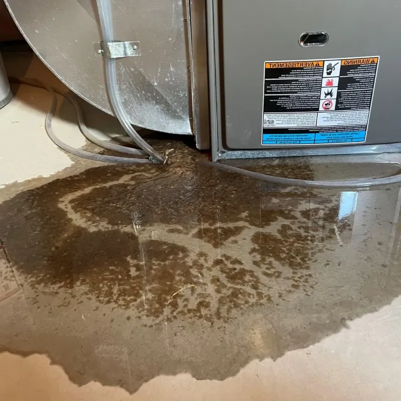 Pipe Burst and Leak Restoration in Pearisburg, VA