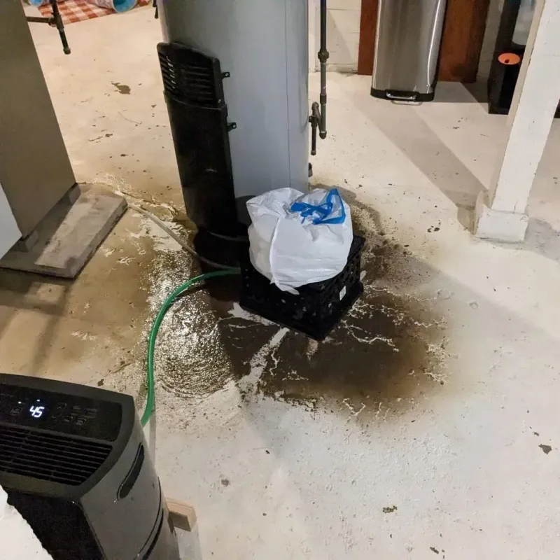 Sewage Backup Cleanup Service in Pearisburg, VA